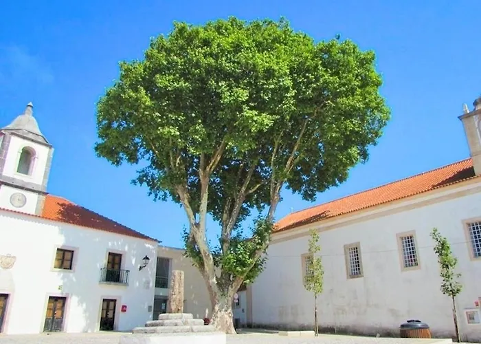 Сasa de vacaciones Duarte - Casa T1 N - Com Vista Mar Nazaré